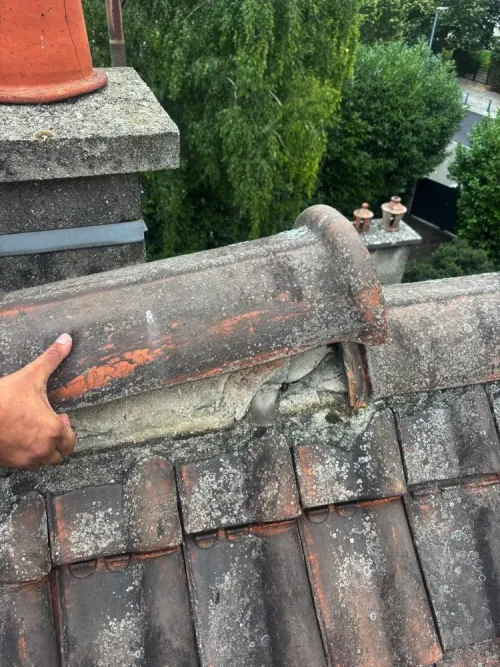 couvreur carriere sous poissy nettoyage toiture 78 6