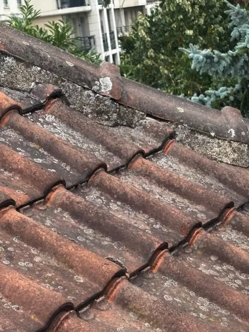 couvreur carriere sous poissy nettoyage toiture 78 8